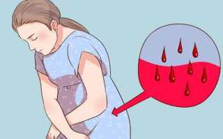 Инструкция по применению настойки из водяного перца при кровотечение