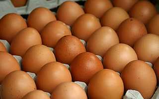 Можно ли есть сырые яйца или омлет при панкреатите