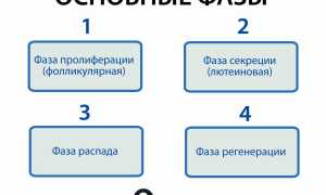 Как вызвать месячные?