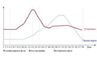 На какой день цикла лютеиновая фаза