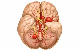 Как лечить аневризму сосудов головного мозга и какие симптомы расширения (разрыва) основной артерии (аорты) головы у женщин