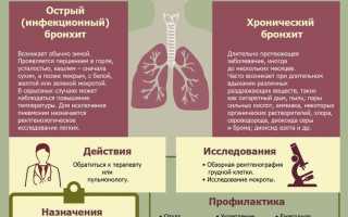 Лечение бронхита у взрослых и методы его профилактики