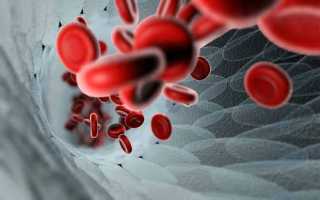 Что такое эритроциты в крови (за что отвечают красные кровяные тельца)
