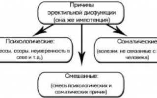 Лечение импотенции в домашних условиях народными средствами