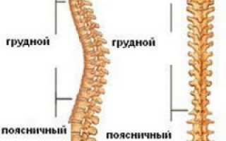 Поясничная грыжа, лечение народными средствами