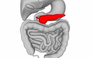 Нормальные и патологические размеры поджелудочной железы