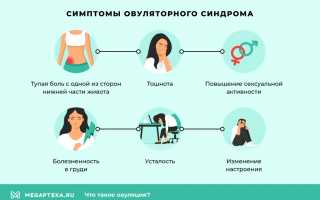 Овуляция – признаки и методы определения