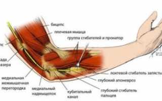 Лечение лучевого нерва руки народными средствами