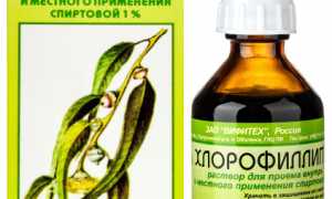 Хлорофиллипт