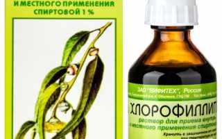 Хлорофиллипт