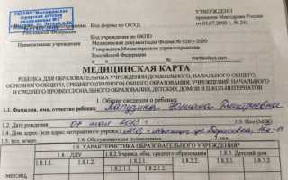 Как сделать медицинскую карту для детского сада? Список врачей и правила оформления