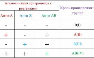 Алгоритм определения группы крови (резус-фактора) цоликлонами и как сделать с помощью таблицы