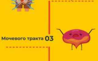 Реактивный артрит: симптомы и лечение заболевания.