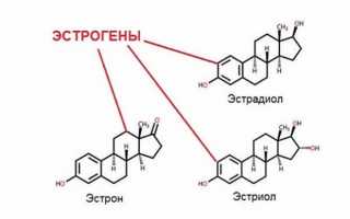 Эстрадиол и эстроген это одно и тоже или нет