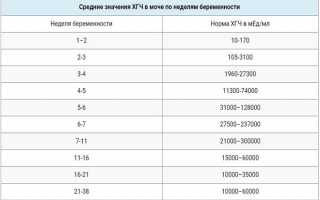 Какой уровень ХГЧ на 6 неделе беременности (норма)