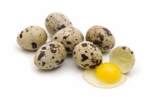 Можно ли пить сырые перепелиные яйца или кушать омлет при гастрите