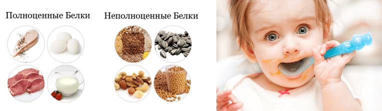 Польза белков