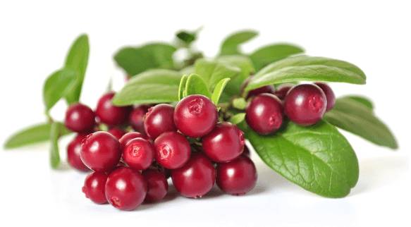 Полезные ягоды