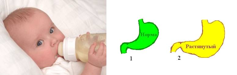 Правила кормления малыша