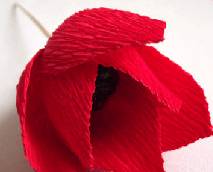 Лепестки цветка