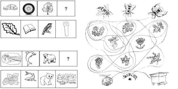 Выбор специальных упражнений