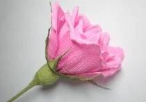 Бумажный бутон