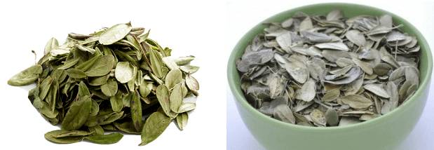 Польза напитка из брусники