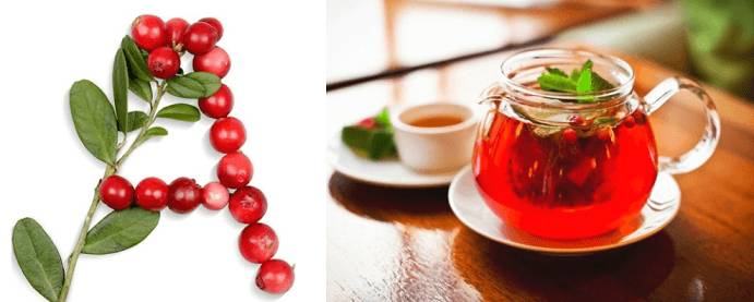 Приготовление брусничного отвара