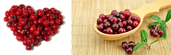 Использование брусники в лечении