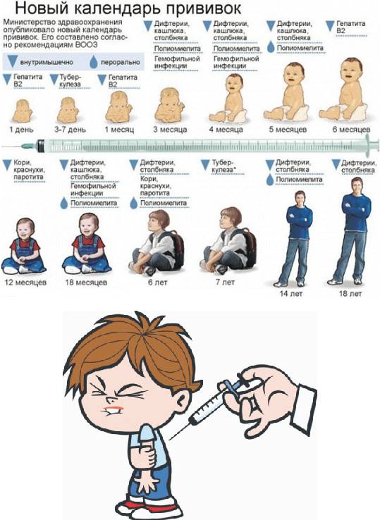 Календарь прививок в России