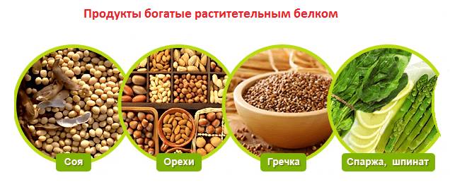 Содержание белка в орехах