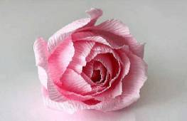 Закрепление материала