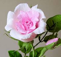 Выбор цвета