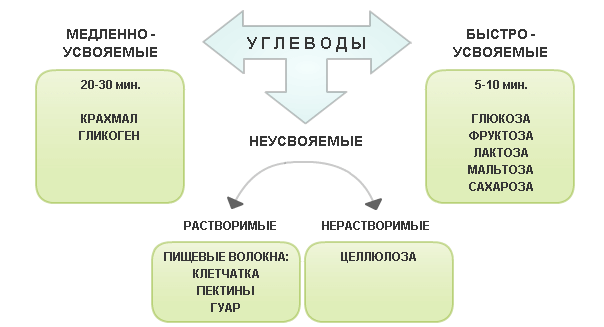 Углеводы в продуктах питания