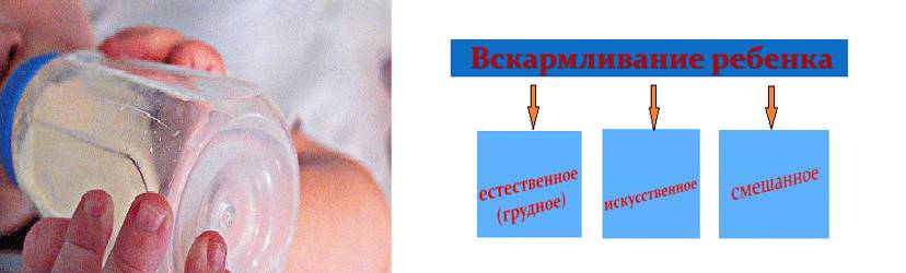 Виды кормлений