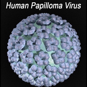 Human papillomavirus, HPV