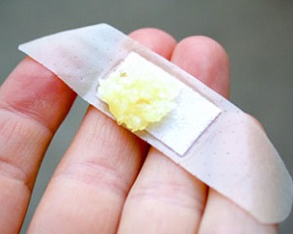 чеснок закрепляем пластырем