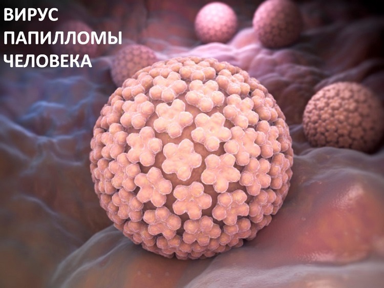 на сколько опасны впч 16 и 18 типа для женщин