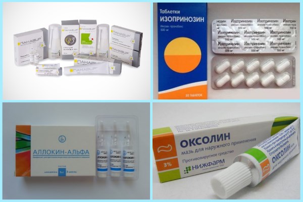 Аллокин-альфа, Изопринозин, Панавир