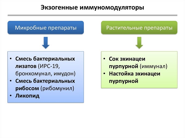экзогенные иммуномодуляторы
