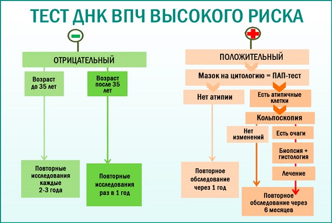 тест на впч