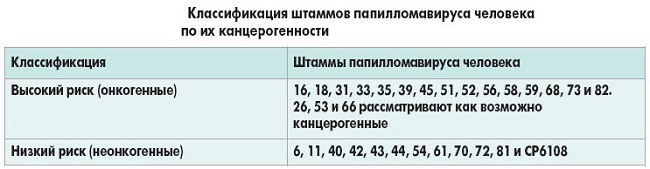 ВПЧ по степени канцерогенности таблица