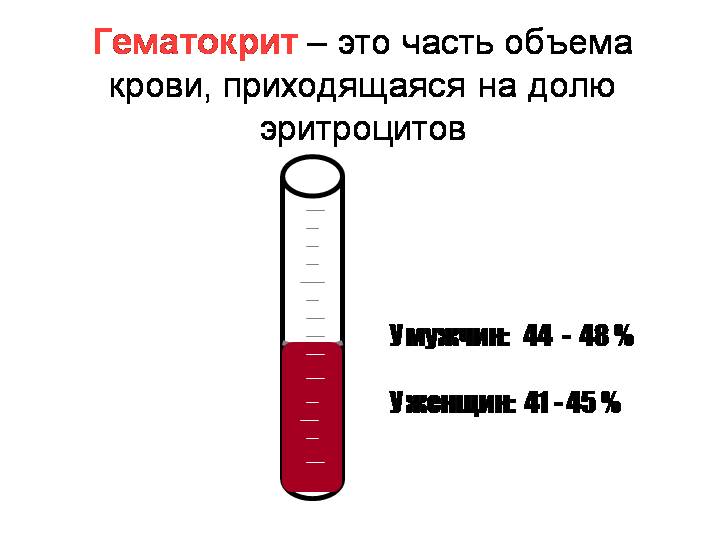 Что такое гематокрит