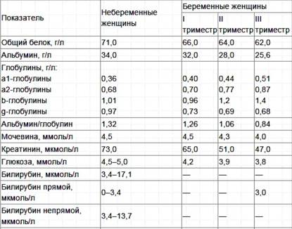 Норма билирубина у беременных по триместрам