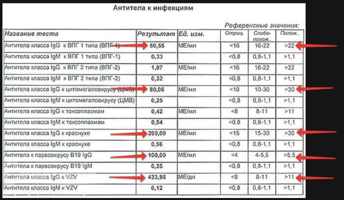 Бланк с результатами антител к инфекциям