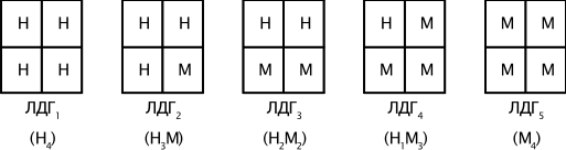 Тетрамер изофракций ЛДГ