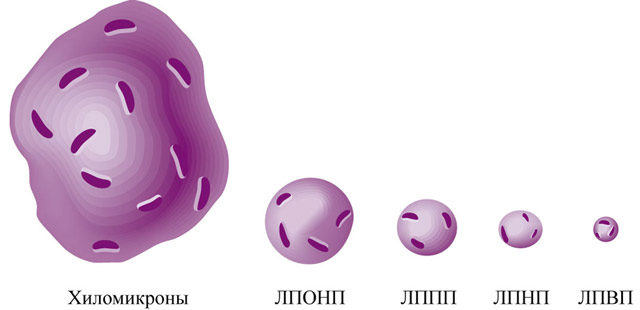 Разные липопротеиды