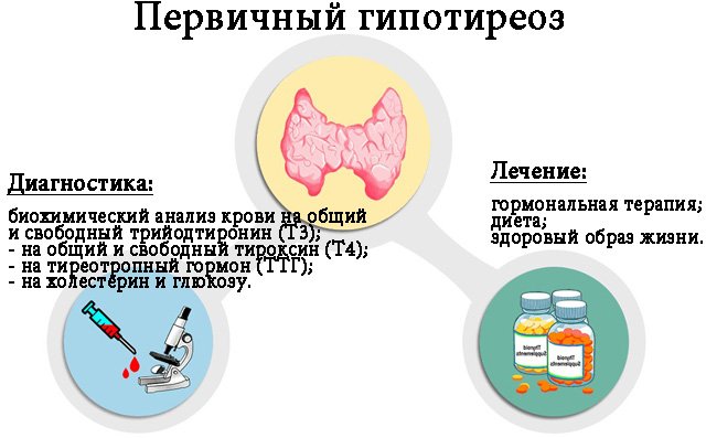 Первичный гипотиреоз Первичный гипотиреоз