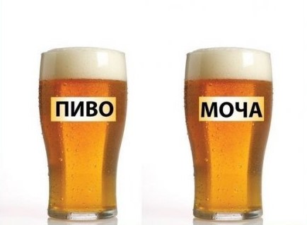 Пиво и моча
