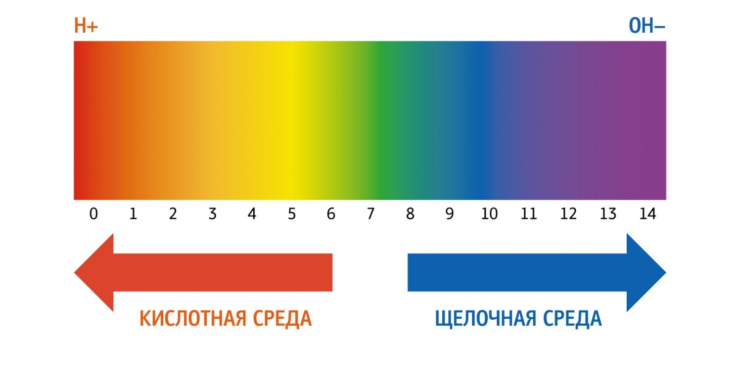 РН мочи